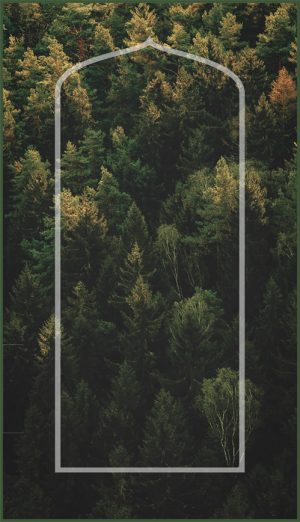 Green Forest