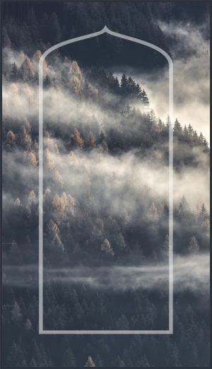 Nature Grey